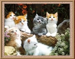 sticker_31954175_45705652