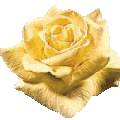 sticker_17624527_35888437