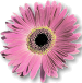 sticker_34893881_14