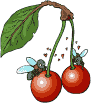 sticker_11829460_47573674