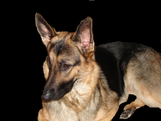 sticker_12417504_45550382
