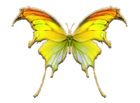 sticker_25333166_44137221