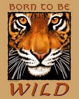 sticker_26056149_45591487