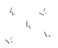 sticker_25333858_34228666