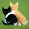sticker_9647820_16180887