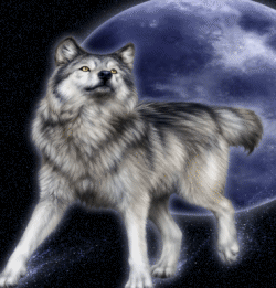 sticker_12417504_22828401