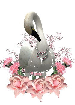 sticker_25812339_47589999