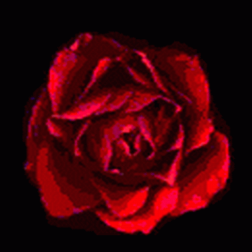 sticker_29539667_45933747