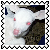 sticker_15619627_26187178