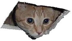 sticker_31954175_45705629