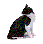 sticker_38696309_243