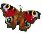 sticker_12498733_20265000