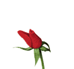 sticker_20420674_27272523