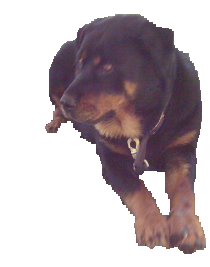 sticker_12602213_23596896
