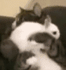 sticker_10956347_44149937