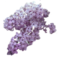sticker_35754523_27