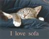 sticker_31558514_44085359