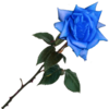 sticker_7666538_47482173