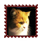 sticker_13629435_28695246