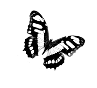 sticker_12517070_25075717