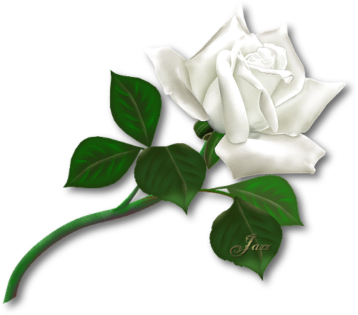 sticker_29083966_45936485