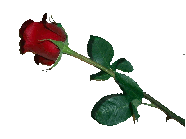 sticker_19175222_46919242