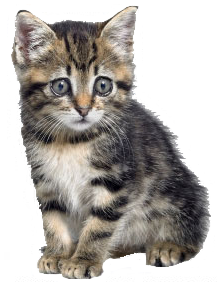 sticker_23019370_47543096