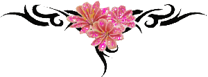 sticker_31349908_44793750