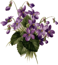 sticker_11359521_15170002