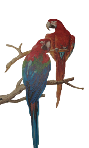 sticker_16784545_25903891