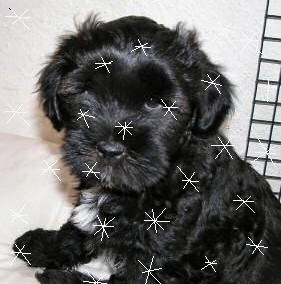 sticker_16735408_24098517