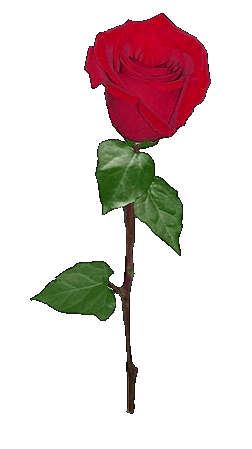 sticker_16218100_29917075