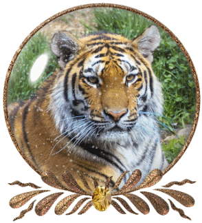 sticker_26056149_47516512