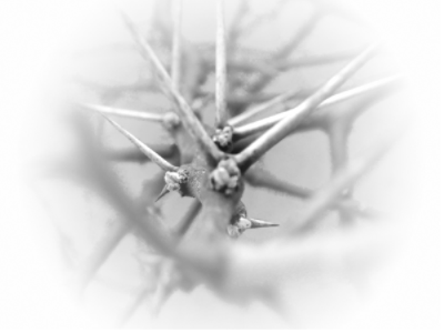 sticker_30837741_47541508