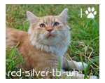 sticker_41449609_3