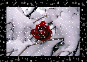 sticker_5850545_43494947