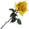 sticker_7666538_47482171