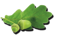 sticker_2642376_47579540