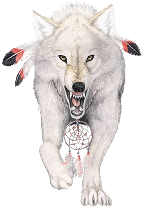 sticker_12417504_21867948