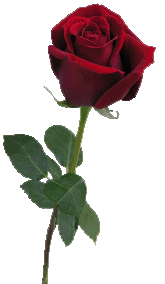 sticker_35061166_135