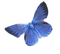 sticker_34547881_47