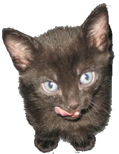sticker_24570823_47541807