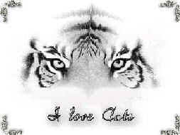 sticker_20816759_47573163