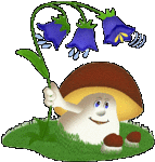 sticker_15602560_47062781