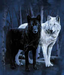 sticker_12417504_45360433
