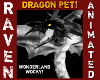 PET WOCKY DRAGON!