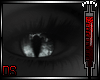 ![DS] :: iRiS 28 |Eyes M