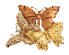 CC - Gold Butterflies