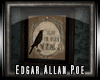 ! Edgar A. Poe Raven Pic