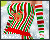 XMas PREGO 1-3 Couple